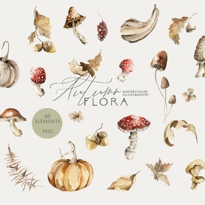 Acquerello autunno floreale Clipart foglie autunnali Zucche acquerello Clip art funghi Foglia secca autunno Felce forestale Elementi botanici Png