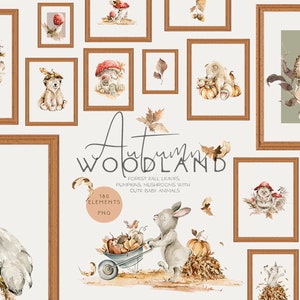 Bos herfst clipart herfst bos schattige baby dieren Bear Bunny Fox eekhoorn pompoenen paddestoel aquarel kinderkamer clip art digitale Png