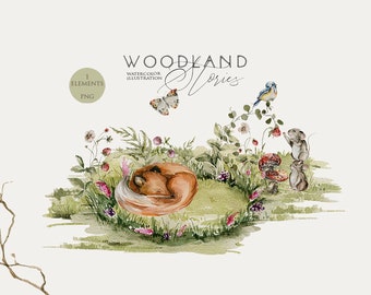 Sleeping fox clipart Woodland animals Watercolor cute fox Forest baby animal Nursery clip art Woodland wall art Baby shower decor Newborn
