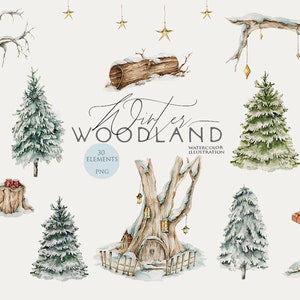 Winter Wald Aquarell Clipart Weihnachten Kiefer Bäume Clip Art Winter Wald Schneelandschaft Kindergarten Cliparts Baby Dusche Digital Png