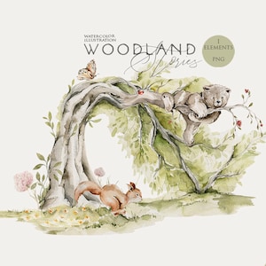 Clipart des bois Bébés animaux Aquarelle ours écureuil arbre Bébé fille clipart Aquarelle animaux de la forêt Clipart de pépinière Bébés des bois