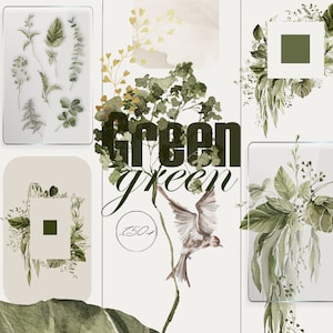Aquarelle de verdure Floral clipart cadre feuilles vertes aquarelle fleurs des champs clip art éléments botaniques png feuille carte de mariage numérique