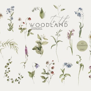 Clipart verdure aquarelle fleurs des champs baies floral clip art fraise conception de carte de mariage feuilles vertes fleurs sauvages feuillage feuille PNG