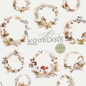 Corona floral de acuarela Marco de otoño clipart Calabazas de acuarela Clip art de hongos Hojas de otoño Flores de hojas de otoño Borde botánico Png