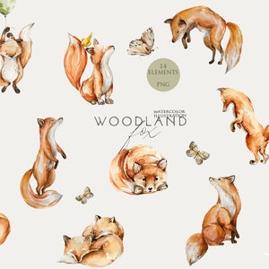 Animaux des bois renard clipart aquarelle forêt animal bébé fille clip art Woodland pépinière décor bébé douche inviter eau couleur animal Png