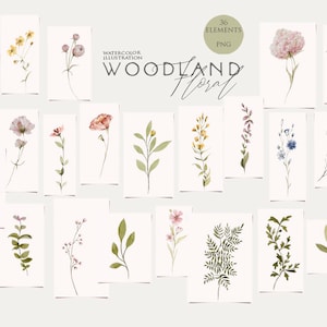 May include: 36 watercolor illustrations of woodland flowers and foliage. The illustrations are in shades of pink, yellow, blue, and green. The illustrations are perfect for adding a touch of nature to your designs.