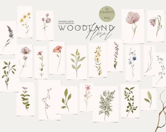 Woodland clipart Watercolor field flowers Wildflowers greenery Floral clip art Watercolour forest leaves Botanical elements Foliage Png