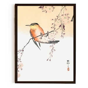 Stampa artistica di uccelli giapponesi / Uccello su ciliegio piangente di Ohara Koson / Poster di stampa xilografica artistica