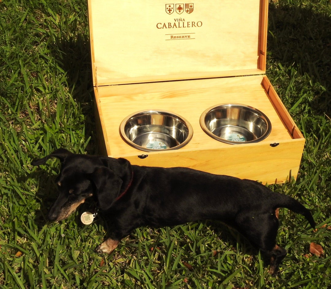 Pampered Pooch Picnic Box Raised Feeding Station Wine Box Pet