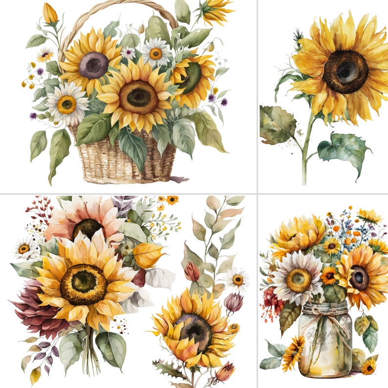 Watercolor Floral Sunflowers Flowers PNG Watercolor Floral - Etsy