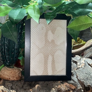 May include: A framed print of a beige snake skin pattern. The frame is black and the print is in a simple black frame.
