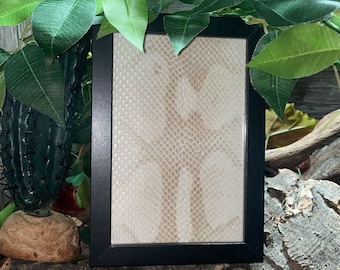Moldura para troca de pele de cobra, presente