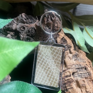 May include: A beige and brown snakeskin patterned keychain with a silver key ring.