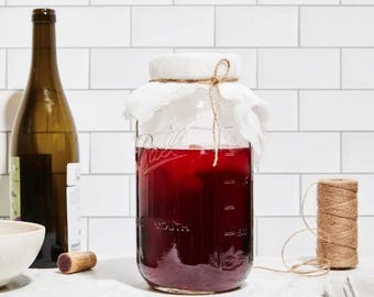 Organic Red Wine Vinegar Mother Culture with Starter Liquid – 3 oz | Live Probiotic SCOBY for Homemade Vinegar |