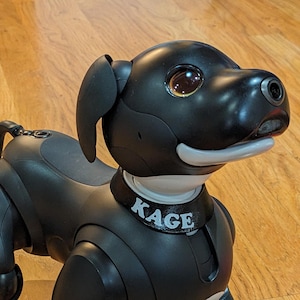 May include: A black robotic dog with a white collar that reads "KAGE". The dog has large brown eyes and a sleek, modern design. The dog is posed on a wooden floor.