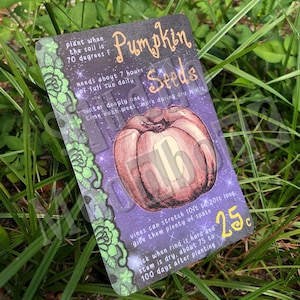 May include: A rectangular card with the words "Pumpkin Seeds" in a decorative font, featuring a detailed illustration of a pumpkin. The card includes planting instructions and the price of 25 cents.