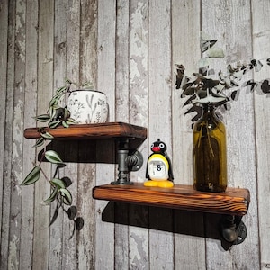 May include: Two dark stained wooden shelves with industrial pipe brackets. The top shelf has a white floral pot with a trailing plant. The bottom shelf displays a penguin clock and a brown glass bottle with foliage.
