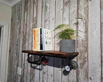 壁掛け式本棚 / 棚 / ファンキーな本棚!!! ヴィンテージ、スチーム