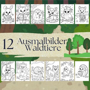Könnte beinhalten: Ein Set mit 12 Schwarzweiß-Malvorlagen mit niedlichen Waldtieren. Die Tiere sind ein Hase, ein Bär, ein Igel, ein Reh, eine Eule, ein Fuchs, ein Eichhörnchen, ein Waschbär, ein Marienkäfer, ein Wolf, ein Vogel und ein weiterer Igel. Der Titel des Sets lautet "12 Ausmalbilder Waldtiere".