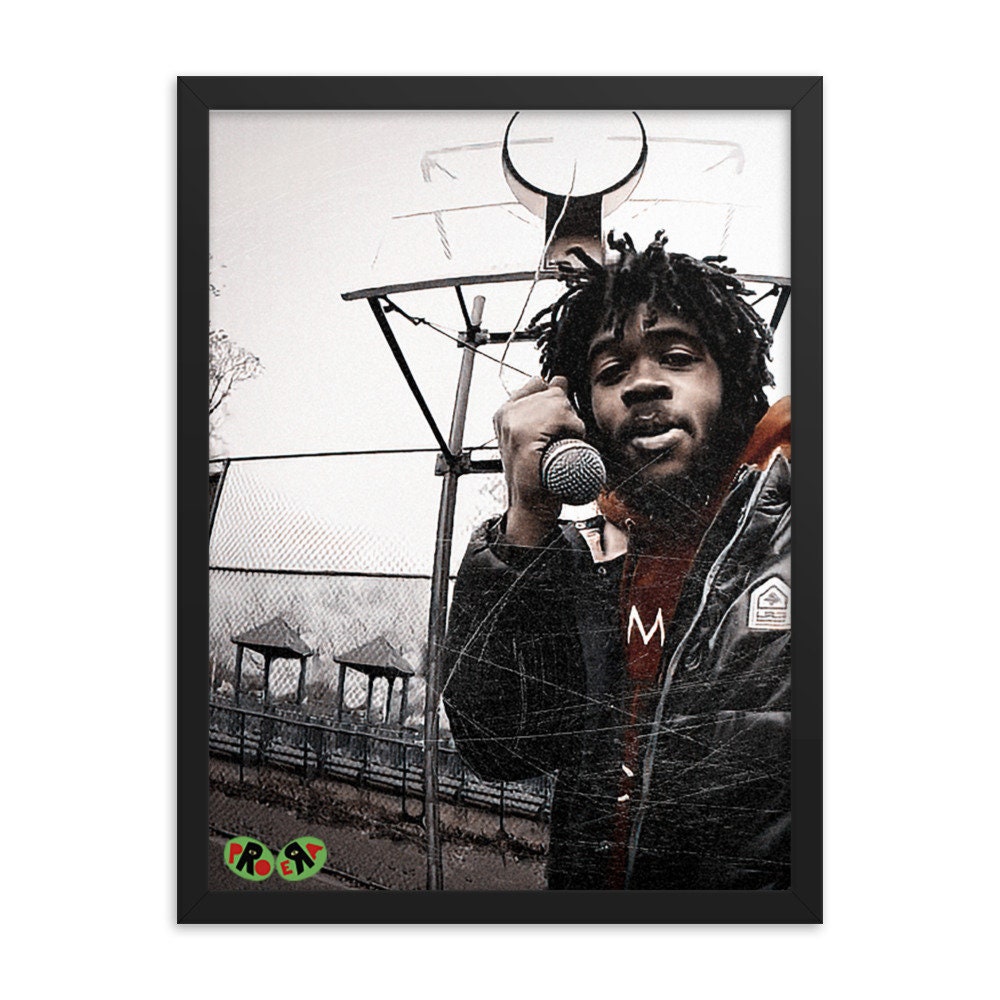 Capital Steez - Park Steelo Rare Framed Poster - King