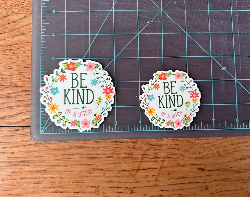 Be Kind of a bitch | vinyl, funny, pretty, subtle, adult humor, laptop decal, water bottle sticker, gag gift, prank, smart ass, waterproof image 6