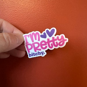EU SOU BEM chata | vinil, engraçado, bonito, sutil, humor adulto, decalque para laptop, adesivo para garrafa de água, presente de brincadeira, pegadinha, espertinha, pequeno, grande
