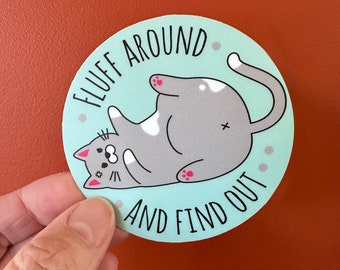 May include: A light blue round sticker with a gray and white cat with pink accents. The cat is lying on its back with its paws in the air. The text "Fluff around and find out" is written in black on the sticker.