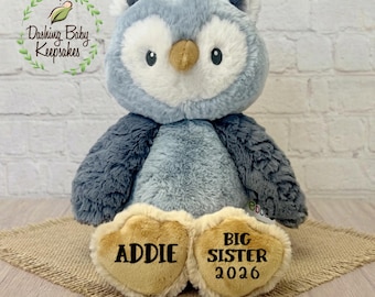 Personalized Big Sister Owl Stuffed Animal, Gift For Sibling, Big Sister Gift From Baby, Custom Owl Plush, Big Sister Keepsake