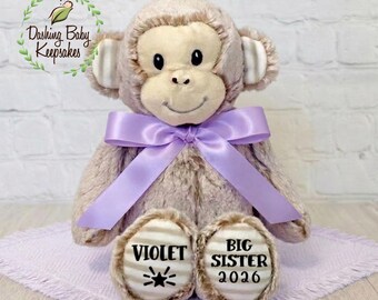 Personalized Big Sister Monkey Stuffed Animal, Gift For Sibling, Big Sister Gift From Baby, Custom Monkey Plush, Big Sister Keepsake