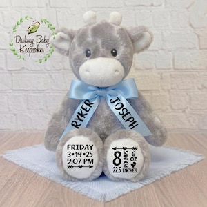 May include: A gray plush giraffe with a light blue ribbon. The ribbon is printed with the names "Ryker" and "Joseph". The giraffe's feet have the birth date, time, weight (8 pounds, 6 ounces), and length (22.5 inches).