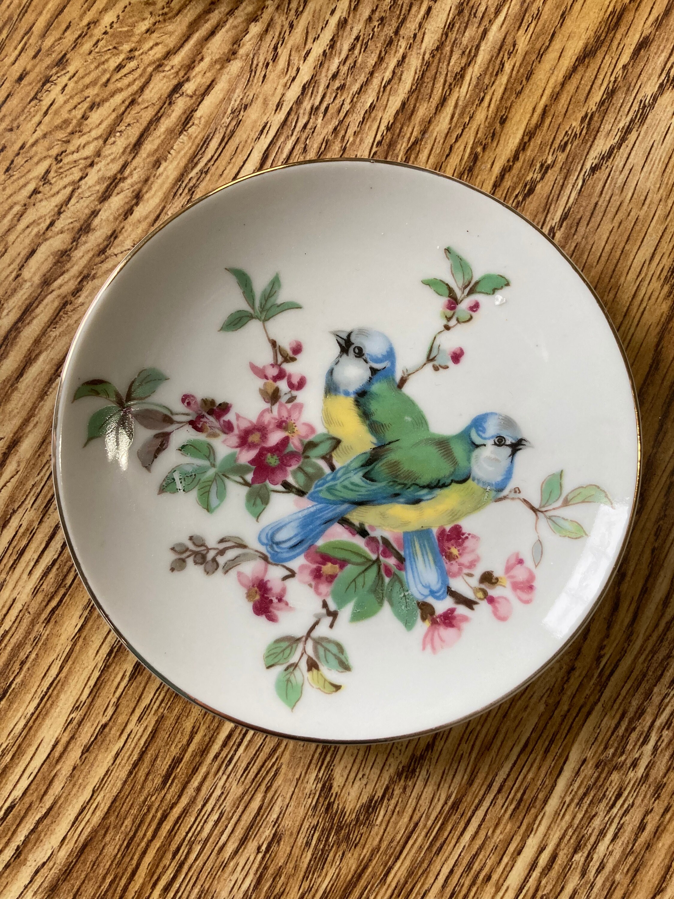 Set of 4 Decorative Bird Plates. Wall Plates. Porcelain. Made Etsy