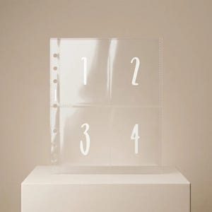 100 Envelope Challenge | Companion 25 Sleeve Refills - Budget Binder Inserts, Savings Organizer