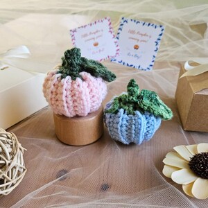 Petite citrouille au crochet Gender Reveal personnalisable