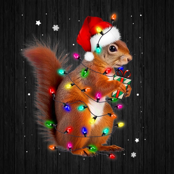 PNG ONLY Squirrel Christmas Hat Santa Light Png, Squirrels Lover Xmas Png, Christmas Png, Digital Download