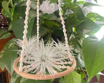 Hanging Air Plant SeaShell Hoop + Free Airplant With Order