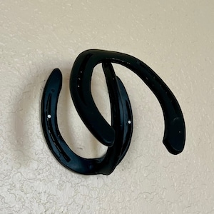 Horseshoe Hat Hook