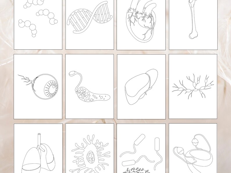 30 Anatomy Coloring Pages Anatomy Coloring Pages Relaxing Stress Relief ...