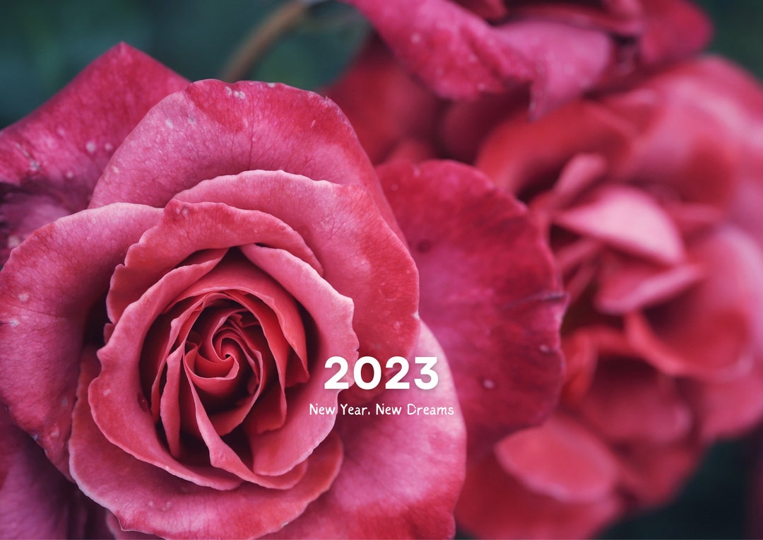 2023 Wall Calendar Flowers Art Simple Wall Calendar 2023 Calendar Wall Etsy