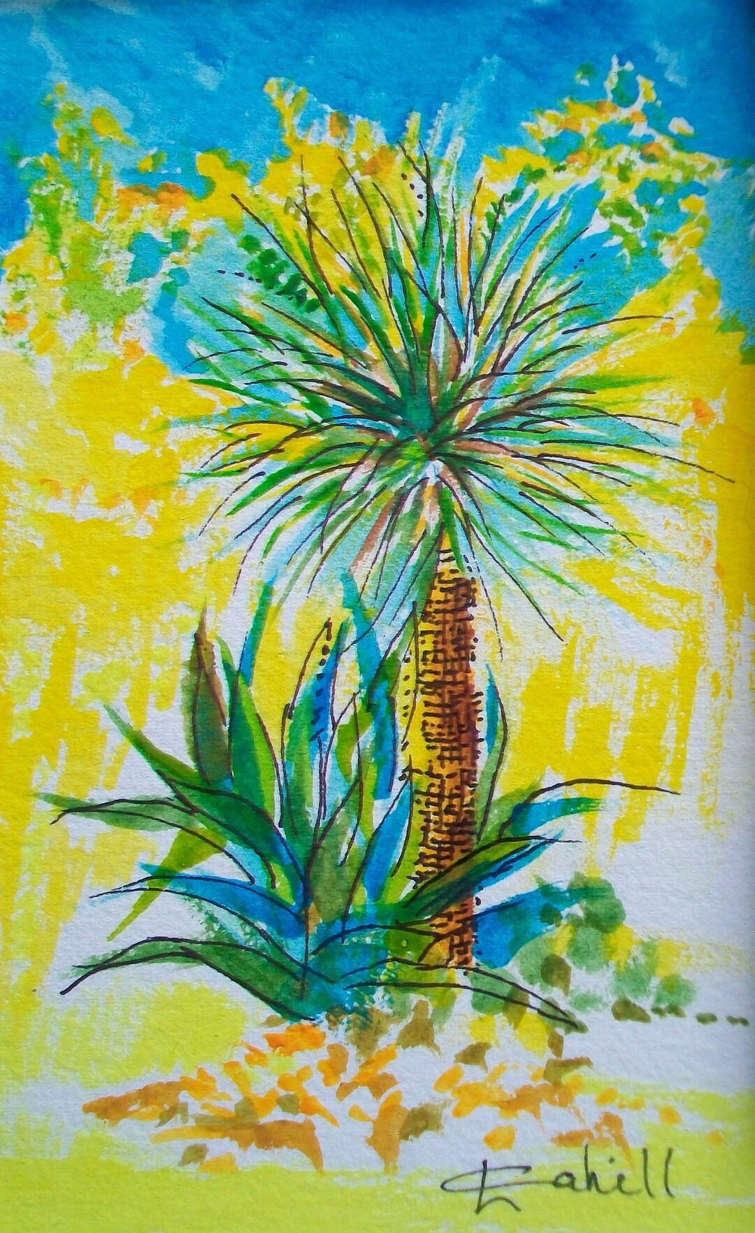Century Plant and Yucca Etsy