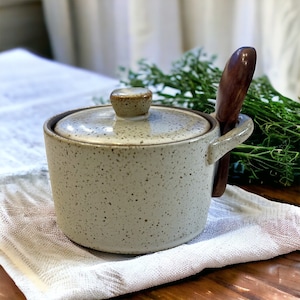Speckled Salt Cellar with Lid and Wooden Spoon, Rustic Farmhouse Ceramic Salt Cellar for Housewarming Gift, Salt Dish with Lid,Gift for Dads