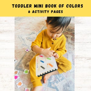 Busy Book Colors, Toddler Busy book, Toddler Busy Book, Mini Book of Colors, Printable,Travel busy book,learning binder, digital, Montessori