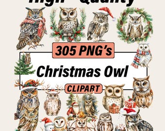 Watercolor Christmas Owl Clipart Bundle – Festive Bird Graphics, Holiday Art (305 PNGs)