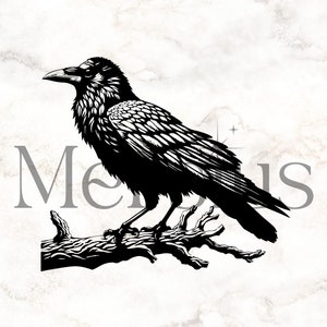 Crow Svg, Crow Clipart, Crow Png, Crow Silhouette, Raven Svg, Crow Cut Files For Cricut, Raven Png, Crow Cut File, Crow Bird Svg, Crow Svg