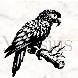 Parrot Svg, Parrot Clipart, Parrot Silhouette Svg, Parrot Cut File Cricut, Parrot Png, Grey Parrot Svg, Parrot Svg File, Parrot Cricut File