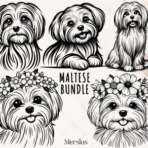 Maltese Svg Bundle, Maltese Svg, Cute Maltese Svg, Maltese Clipart, Maltese Silhouette, Maltese Dog Svg, Cute Maltese Svg File, Maltese Png