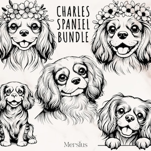Paquete King Charles Spaniel Svg, King Charles Spaniel Svg, Lindo Charles Spaniel Svg, Charles Spaniel Clipart, Charles Spaniel Silueta