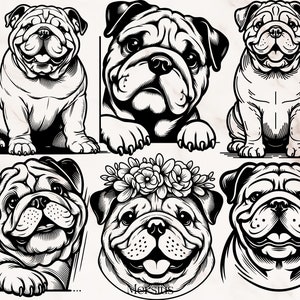 Pacote Bulldog Inglês Svg, Bulldog Inglês Svg, Cute English Bulldog Svg, Clipart Bulldog Inglês, Silhueta Bulldog Inglês, Bulldog Svg