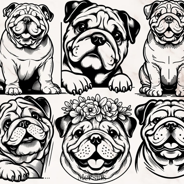 English Bulldog Svg Bundle, English Bulldog Svg, Cute English Bulldog Svg, English Bulldog Clipart, English Bulldog Silhouette, Bulldog Svg