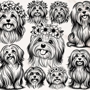 Havaneser Bundle, Havaneser SVG, Havaneser Clipart, Havaneser Shirt, Havaneser Hundemama, Havaneser, Havaneser Kunst, Png, Schnittdatei