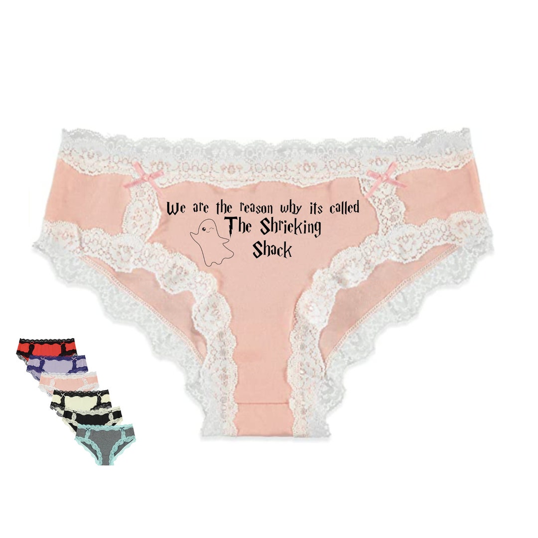 The Reason Why Its Called the Shrieking Shack Hipster Lace Panties Etsy